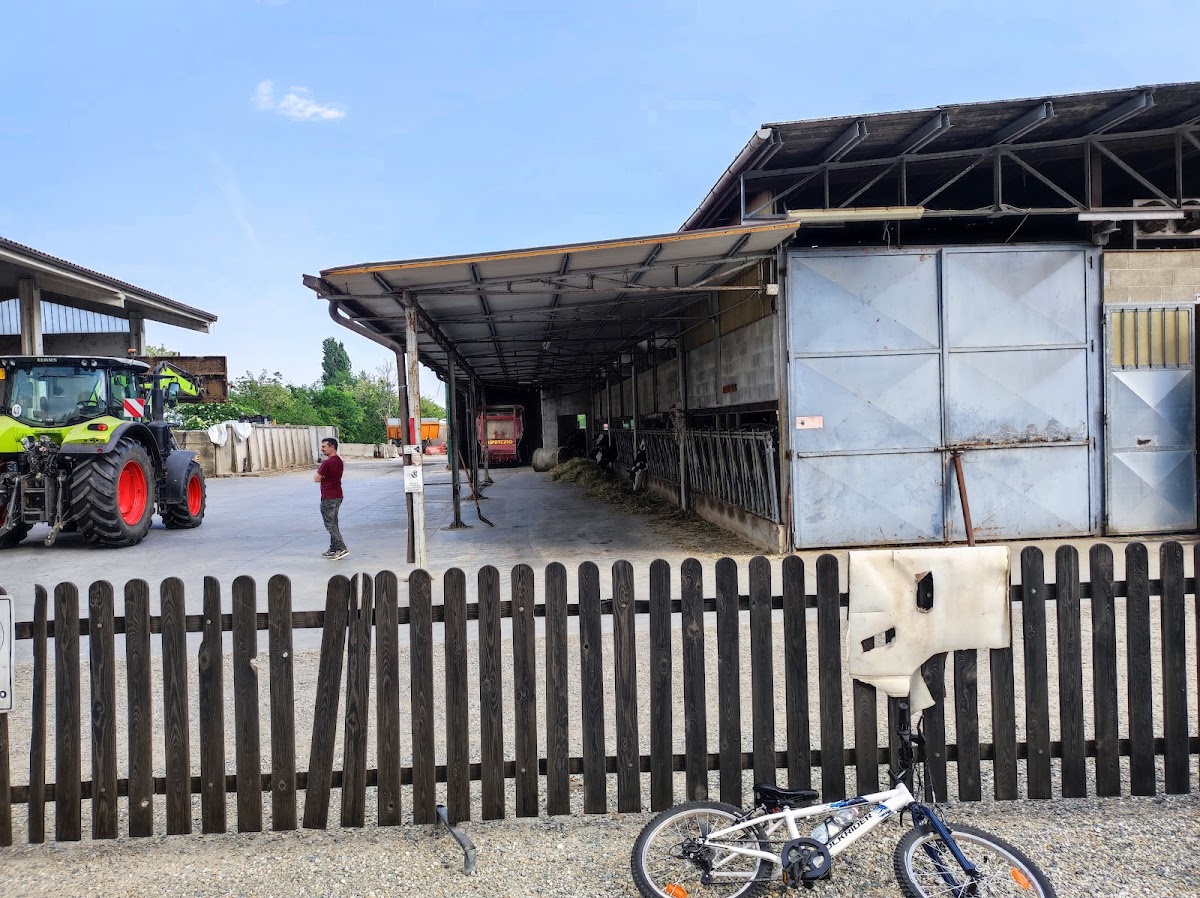 Azienda Agricola Coletto - 4